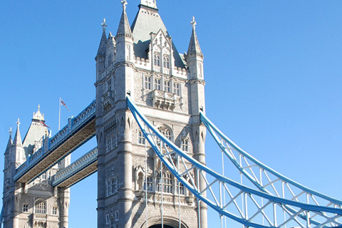 成都网站建设-凯翔国际教育